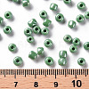 6/0 Glass Seed Beads SEED-A012-4mm-127-3