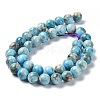 Natural Apatite Beads Strands G-G858-01C-2