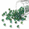 6/0 Round Glass Seed Beads SEED-US0003-4mm-167B-1