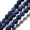 Natural Sodalite Round Beads Strands G-E329-8mm-39-2