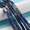 Natural Lapis Lazuli Beads Strands G-C084-C01-01-2