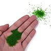 15/0 Transparent Czech Glass Seed Beads SEED-N004-004-09-5
