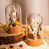 20 Set Glass Dome Cover AJEW-BC0003-54C-7