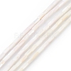 Natural Freshwater Shell Dyed Beads Strands SHEL-M018-11-12-2
