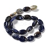 Natural Sodalite Beads Strands G-L164-A-20-3