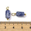 Natural Sodalite Cloumn Pendants STAS-H221-04G-06-3