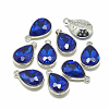Alloy Glass Pendants PALLOY-T028-10x14mm-11-1