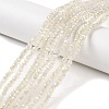 Electroplate Glass Faceted Rondelle Beads Strands EGLA-D020-3x2mm-05-A-6
