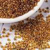 MIYUKI Round Rocailles Beads X-SEED-G008-RR0377-1