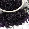 FGB 8/0 Grade A Round Glass Seed Beads SEED-Q006-3mm-F11-1