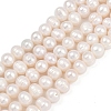 Natural Cultured Freshwater Pearl Beads Strands PEAR-I007-07J-05A-2