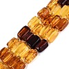 Natural Amber Beads Strands G-N371-23A-01-2