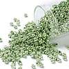 TOHO 8/0 Round Beads X-SEED-TR08-0560-1