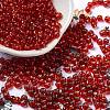 Glass Seed Beads SEED-H002-C-A051-1