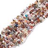 Natural Gemstone Beads Strands G-F328-26-2