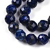 Natural Lapis Lazuli Beads Strands G-S345-10mm-24-4