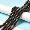 Natural Red Snowflake Obsidian Beads Strands G-G992-B03-2