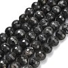 Natural Larvikite Beads Strands G-C280-B06-10mm-2