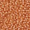 TOHO Round Seed Beads X-SEED-TR08-0301-2