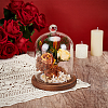 Arch Glass Dome Cover AJEW-WH0481-606G-4