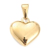 304 Stainless Steel Pendants STAS-P278-01R-G-2