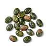 Natural Unakite Cabochons G-A094-01B-50-1