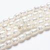 Oval Natural Cultured Freshwater Pearl Beads Strands PEAR-R015-45-5