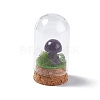 Natural Amethyst Mushroom Display Decoration with Glass Dome Cloche Cover G-E588-03H-2