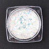 Holographic Chunky Glitter Nail Art Pigment Dust MRMJ-S015-009D-2