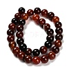 Dyed Natural Agate Beads Strands G-G203-10A-10mm-3