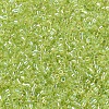 MIYUKI Delica Beads X-SEED-J020-DB0174-1