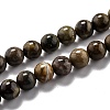 Round Natural Ocean Agate/Ocean Jasper Beads Strands G-L574-02A-1