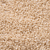 MIYUKI Delica Beads SEED-JP0008-DB0205-4