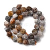 Natural Gobi Agate Beads Strands G-Z119-A36-03-4
