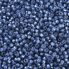 MIYUKI Round Rocailles Beads X-SEED-G007-RR0648-3