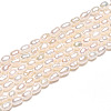 Natural Cultured Freshwater Pearl Beads Strands PEAR-N012-02Y-01-5