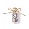 Glass Jar Glass Bottles Pendants PALLOY-JF02481-3