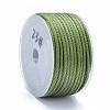 Polyester Braided Cords OCOR-I006-A01-23-2