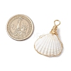 Copper Wire Wrapped Natural Shell Pendants PALLOY-JF03494-2