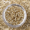 Glass Seed Beads SEED-S042-04A-05-2