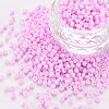 8/0 Opaque Glass Seed Beads SEED-S048-N-004-1
