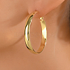 Brass Geometric Hoop Earrings for Women ZE6703-1-1