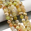 Faceted Natural Fire Crackle Agate Beads Strands G-F447-12mm-H01-1