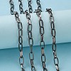 Iron Paperclip Chains CH-R025-13x6mm-B-2