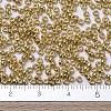 MIYUKI Round Rocailles Beads SEED-G007-RR4202-2