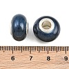 Handmade Porcelain European Beads OPDL-G001-11-3