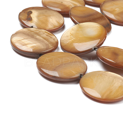 Natural Freshwater Shell Beads BSHE-I011-01A-01-1