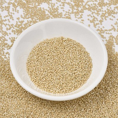 MIYUKI Delica Beads X-SEED-J020-DB1571-1