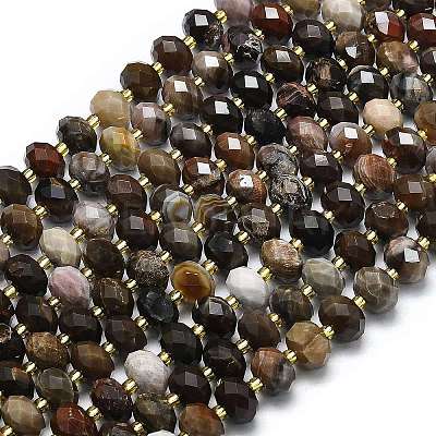 Natural Petrified Wood Beads Strands G-P573-A32-01-1