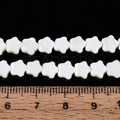 Natural Freshwater Shell Beads Strands SHEL-N027-02-01-1